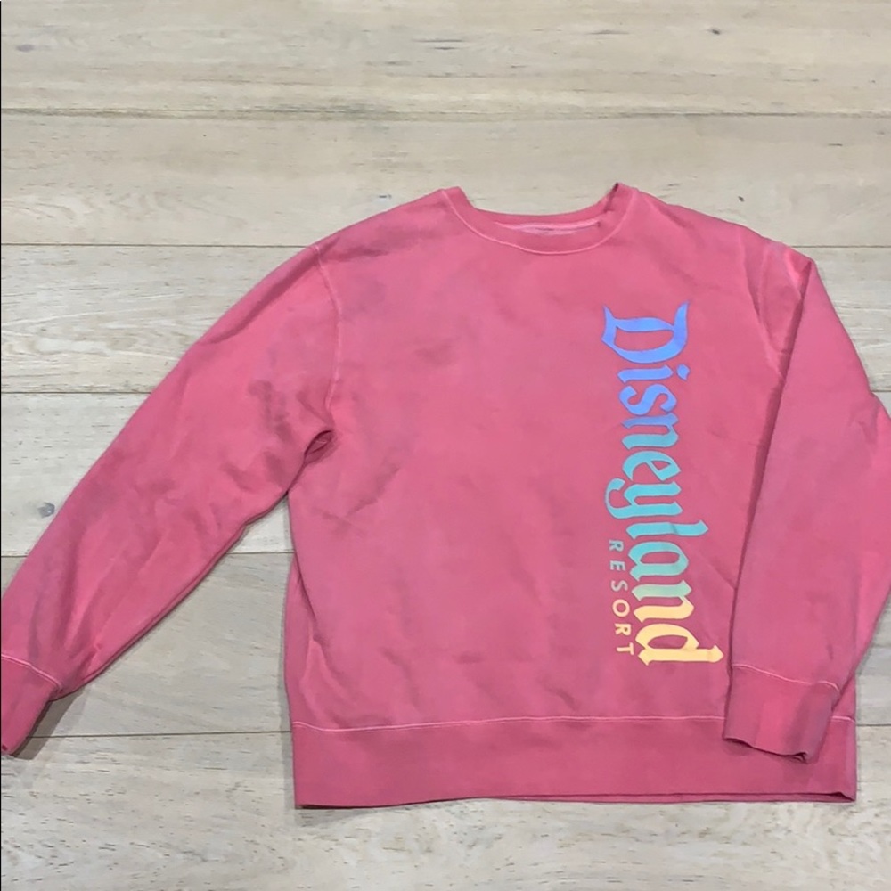 Disneyland resort sweater